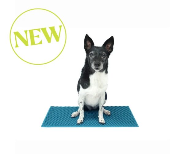 Tappetino propriocettivo K9 FitMat - FitPaws